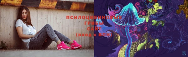 ПСИЛОЦИБИНОВЫЕ ГРИБЫ Балахна