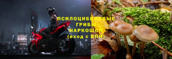 соль ск Пересвет