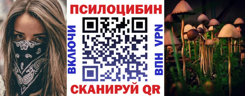 Псилоцибиновые грибы Psilocybe  KRAKEN сайт  Саратов 