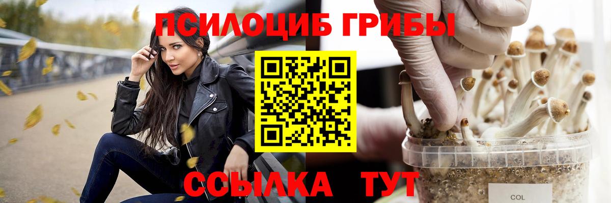 Псилоцибиновые грибы мухоморы  Псилоцибиновые грибы Cubensis  Саратов  Вход с VPN 